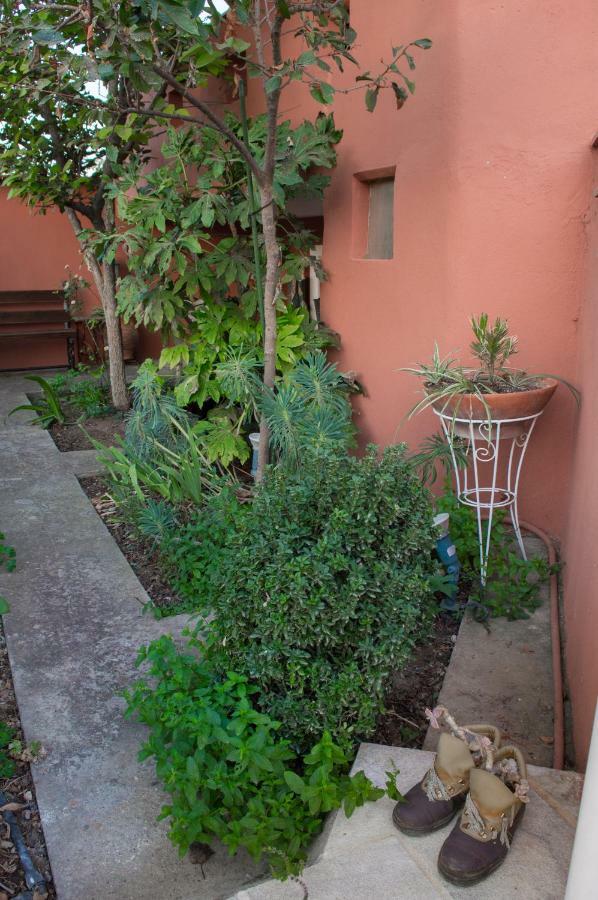 The House Dimitra Nea Fokaia Nea Fokea Exterior foto